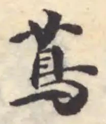 蔦 위치 확인됨
