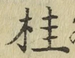 글자 桂