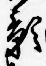 影 위치 확인됨