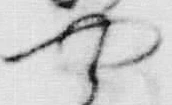 “や”字