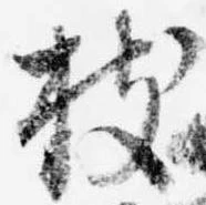 已定位枝