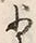 文字少