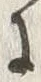 「に」字