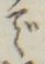 글자 で
