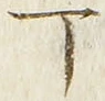 「丁」字