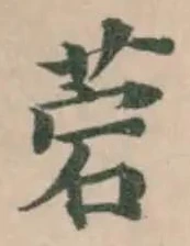 菪の位置