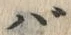 字ば