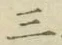 字三