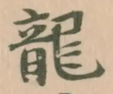 已定位龍