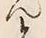 Character ん