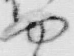 “や”字
