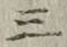 文字三