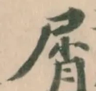 屑 위치 확인됨