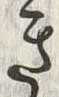 “き”字