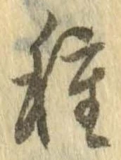 已定位種