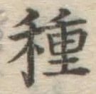 글자 種