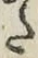 字た
