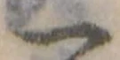 位置定マレル一