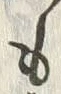 𡨸も