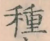 “種”字