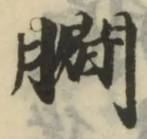 𦢨の位置