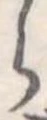 位置定マレル𛃰