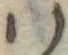 𛂞の位置