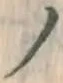 “ノ”字