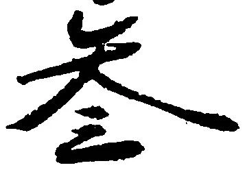 参の位置