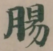 腸の位置