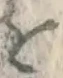 글자 を