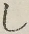 Character し
