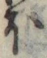 Đã định vị 𛃀