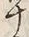 文字十