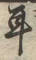 位置定マレル耳