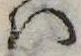 Đã định vị 𛂞