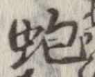 蚫の位置