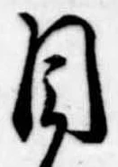 Đã định vị 目