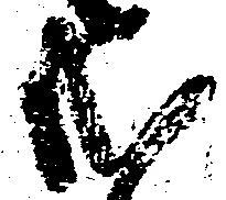 Đã định vị 式
