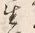 글자 生