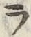 글자 ラ