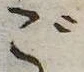 位置 確認된 ご