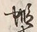 文字蝦