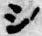 字シ
