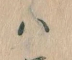 已定位𛂞