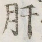 肝 위치 확인됨