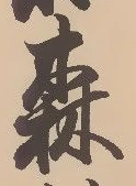 森 위치 확인됨