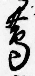 蔦 위치 확인됨