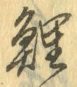 鯉の位置