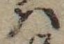 Located 𛂞